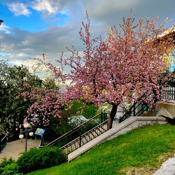 Meet your Posher, Samar - Picture 1 of 1